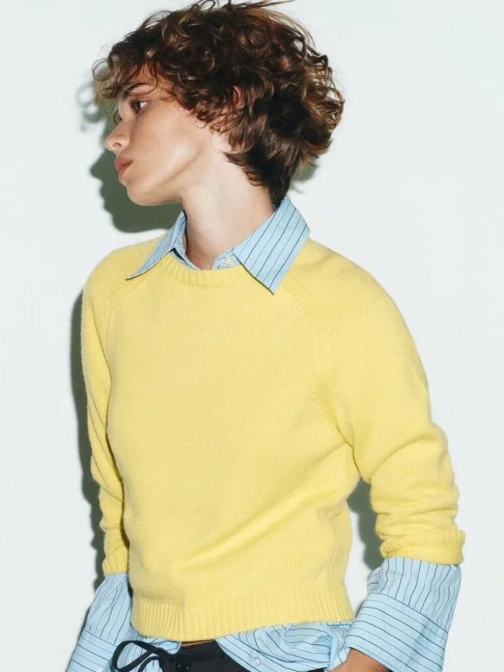 Basic Knit Sweater - Picture 9 of 9